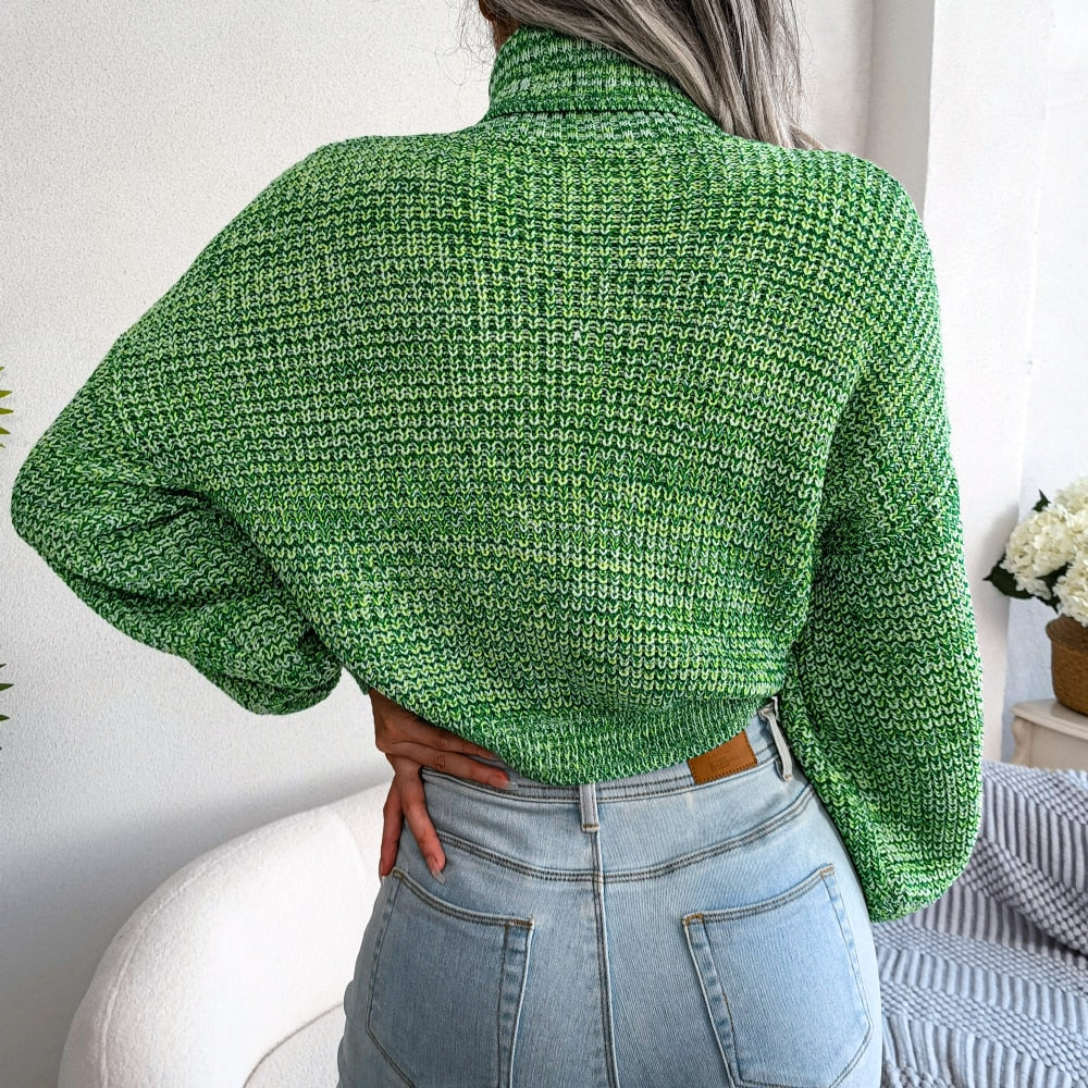 Turtleneck Chunky Knit Sweater with Long Sleeves for Everyday Wear
