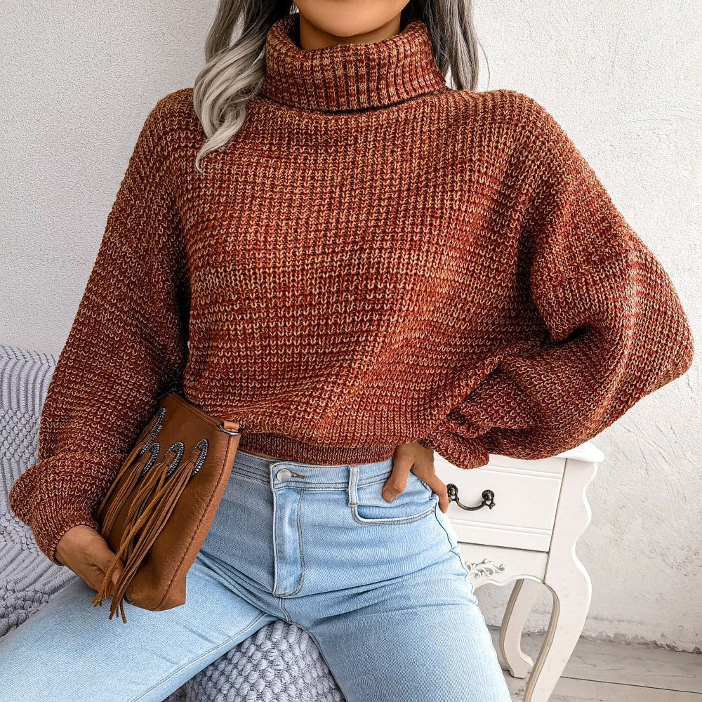 Turtleneck Chunky Knit Sweater with Long Sleeves for Everyday Wear